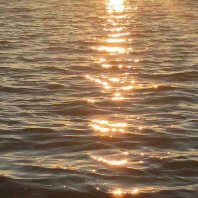 加拿大pc软件平台